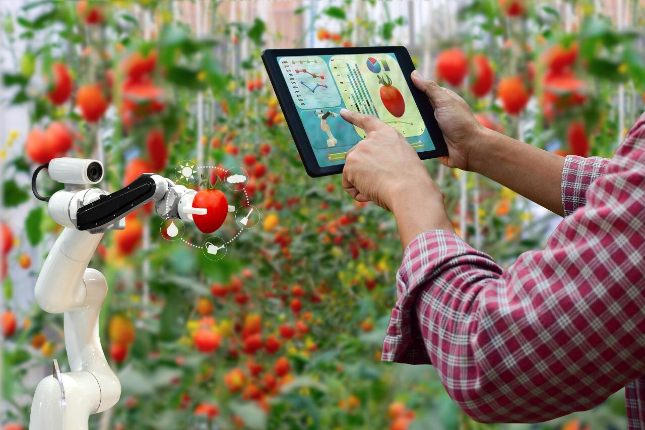 AgriHack Virtual 2020 busca ideas tecnológicas para el desarrollo agroindustrial en Bolivia