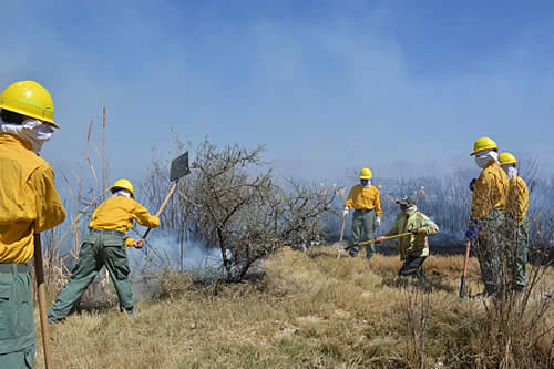 Ministerio de Medio Ambiente aclara que superficie quemada en el país asciende a 376.052,4 hectáreas