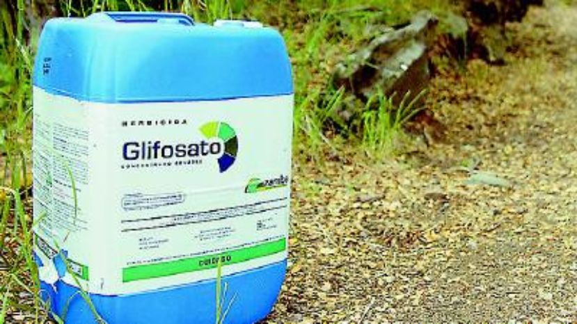 Pesticida glifosato no se degrada y se queda en el ambiente