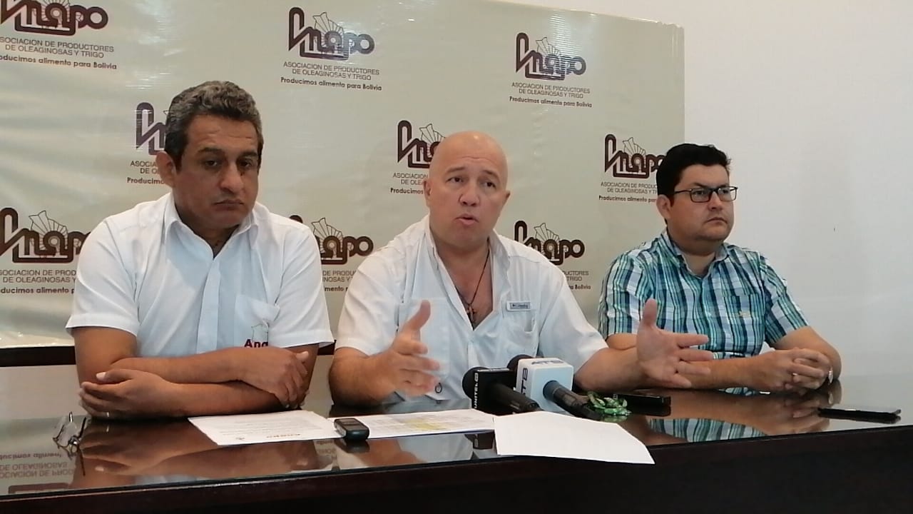 Anapo organiza primer Día Nacional del Girasol