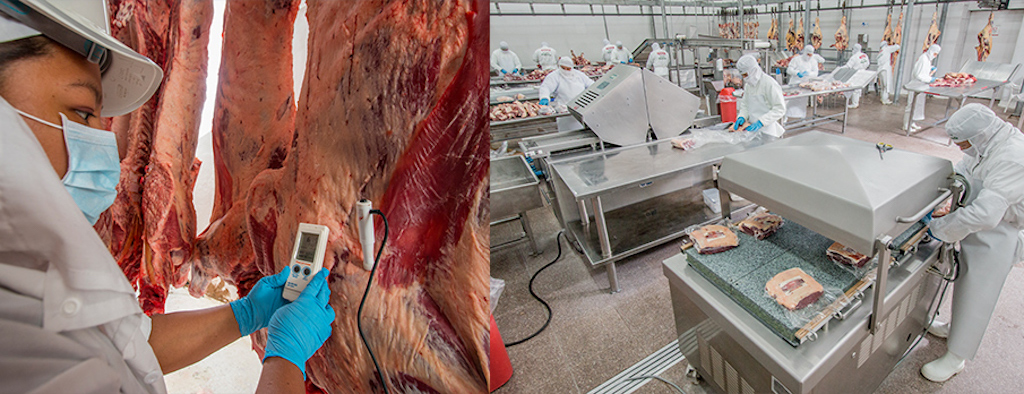 Frigor y Fridosa inician histórica exportación de 100 toneladas de carne al mercado chino