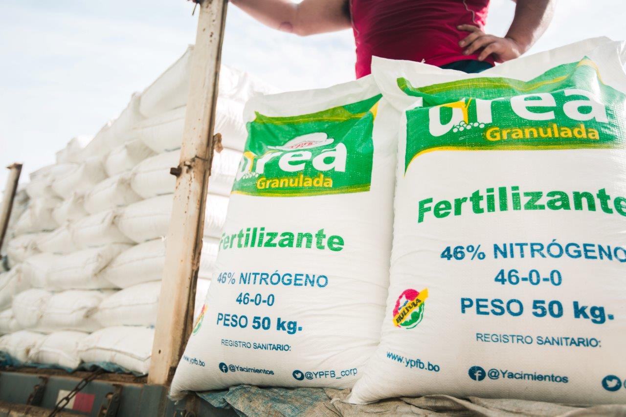 El 90% de los agricultores de  maíz optan por la urea boliviana