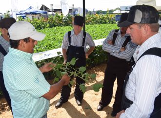 Bayer participa en VIDAS 2019  con promociones de verano