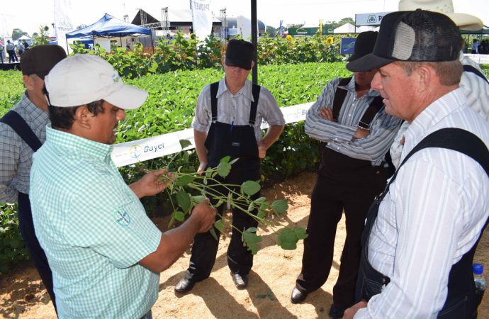 Bayer participa en VIDAS 2019 con promociones de verano