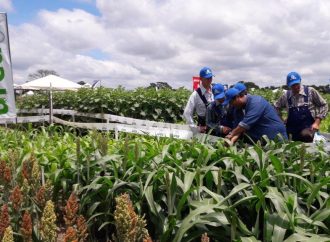 YPFB demostrará la potencialidad de la urea en la FERIA VIDAS