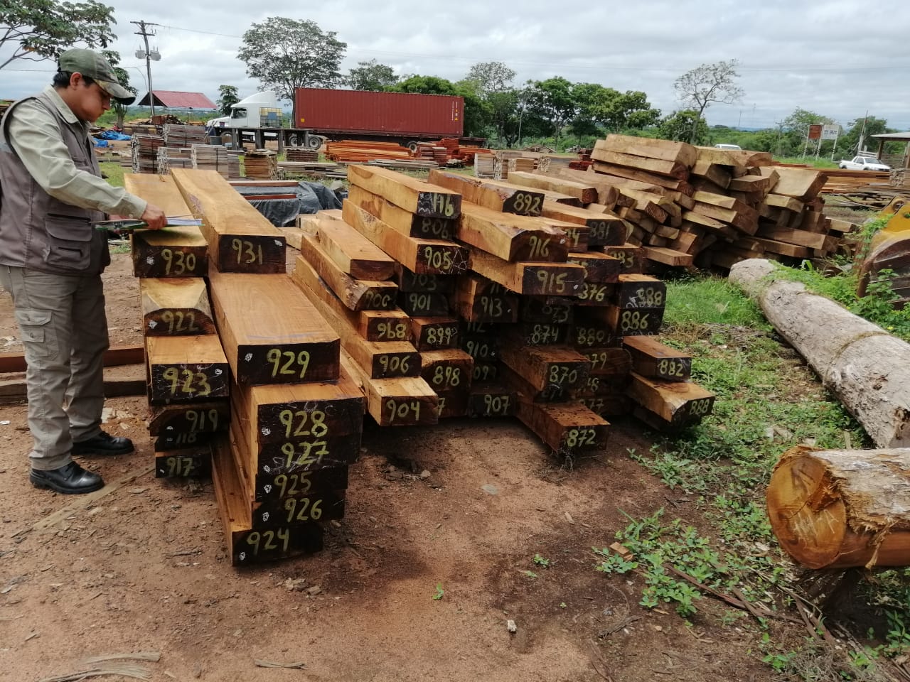 ABT decomisa madera ilegal por un valor de Bs. 3 millones en el mercado nacional