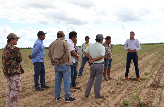 «Santa Cruz al priorizar el manejo sostenible del suelo, podría mejorar la productividad de los cultivos»