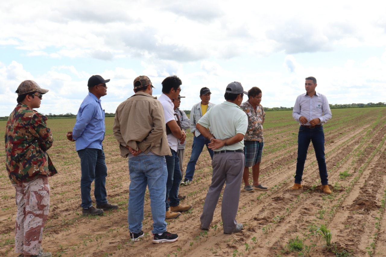 «Santa Cruz al priorizar el manejo sostenible del suelo, podría mejorar la productividad de los cultivos»