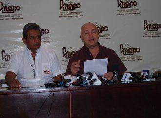 Disminuye la producción de granos en 2019