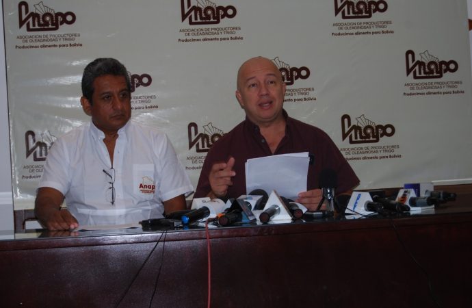 Disminuye la producción de granos en 2019
