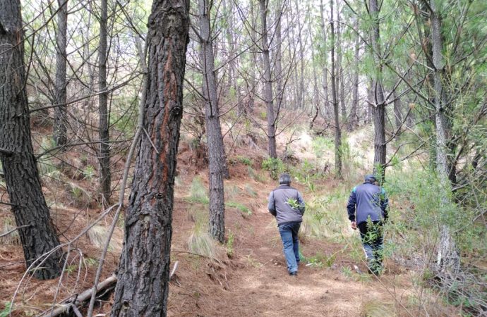 La ABT elige reflexionar sobre las circunstancias actuales y el rol de los bosques en su aniversario 11