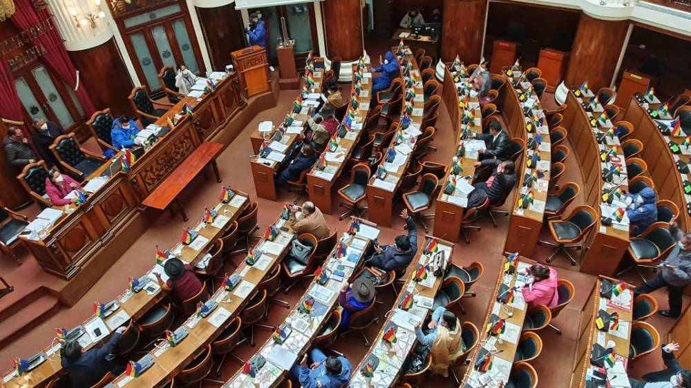 Gobierno denuncia que el MAS aprobó la ley del bono contra el hambre con fines electorales
