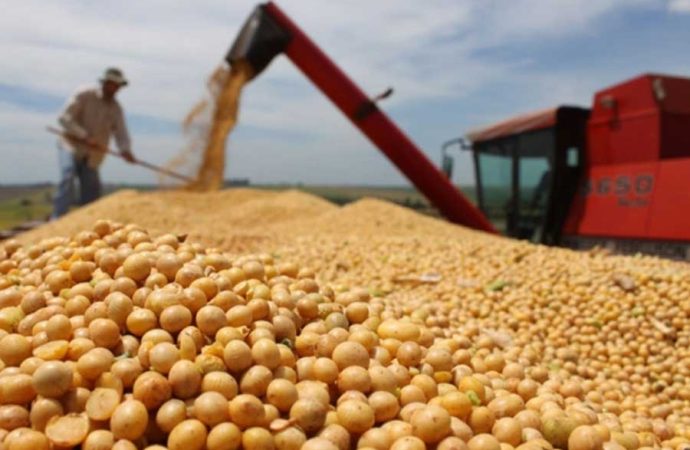 Gobierno y productores acuerdan trabajo conjunto para asegurar provisión de soya en el mercado interno