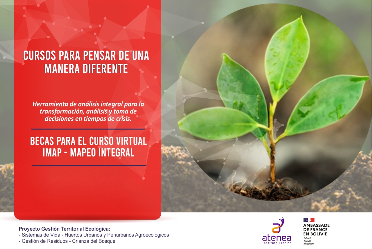 Instituto Técnico Superior Atenea finaliza primer taller de capacitación de Mapeo Integral IMAP