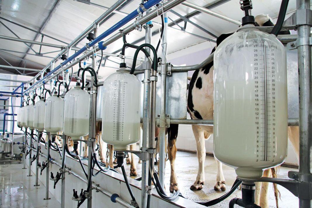 Contrabando, bajo consumo y disminución de lácteos en el subsidio preocupan al sector productivo