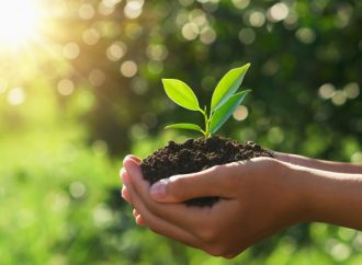 Fundare de CAINCO organiza actividad para limpiar la ciudad en el día mundial de la tierra