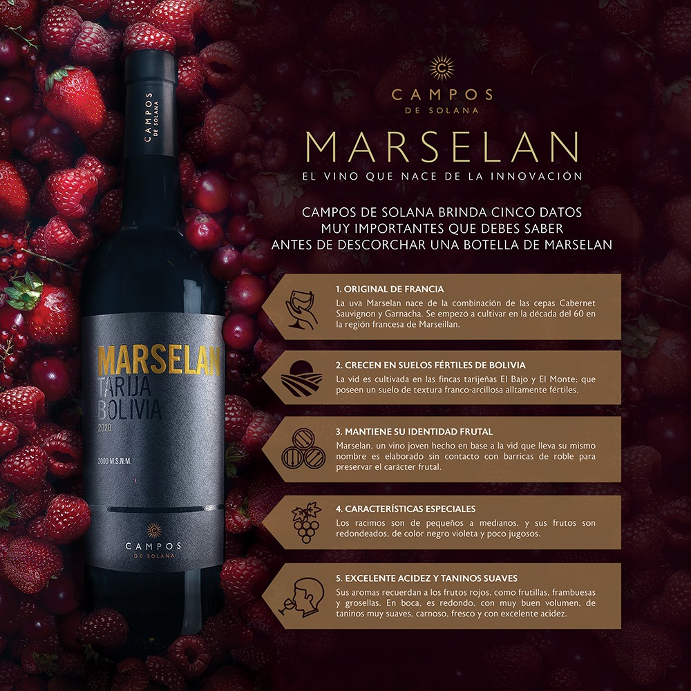 El secreto para maridar el vino Marselan