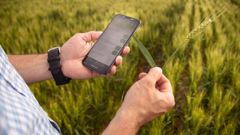 La startup SOS AGRO “alza vuelo” alcanzando una valoración de un millón de dólares en ronda de inversión semilla