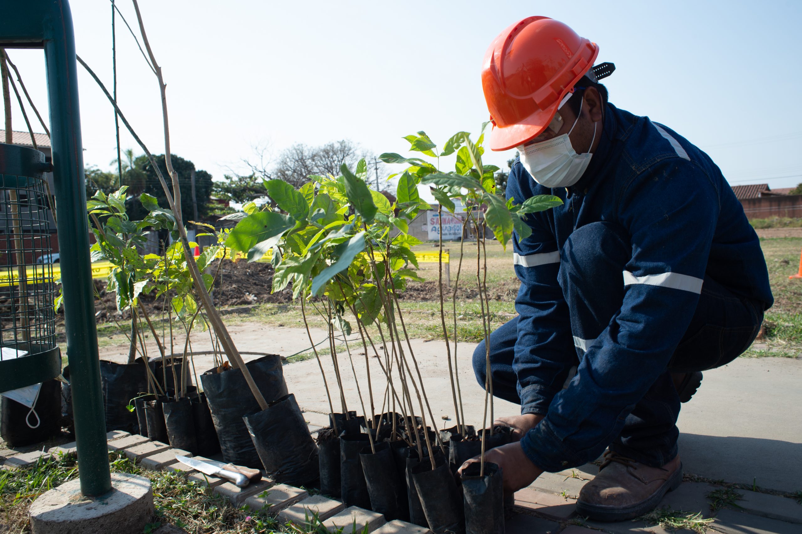 Personal de EMBOL realizó una jornada de plantación y siembra de árboles en Santa Cruz