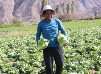 Seguro agrícola que protege a los pequeños productores de Bolivia