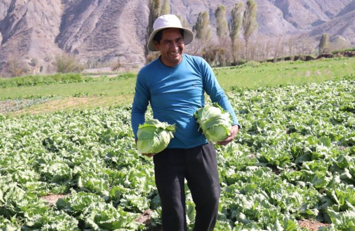 Seguro agrícola que protege a los pequeños productores de Bolivia