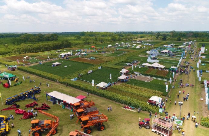 Banco Ganadero apoya la feria agrícola más grande de Bolivia: Vidas 2021.