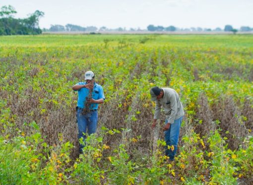 Anapo repudia intentos de toma de tierras y exige al Gobierno garantizar el derecho de propiedad