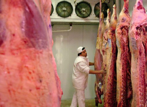 Exportación de carne bovina llega a $us 120 millones