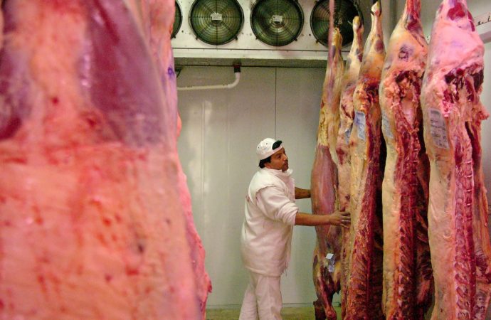 Exportación de carne bovina llega a $us 120 millones