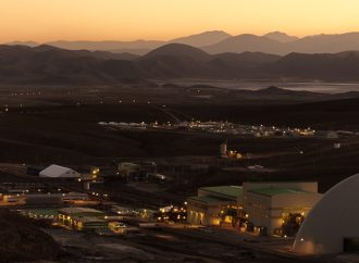 Bolivia: Empresa minera implementa proyecto de reforestación en la Chiquitanía