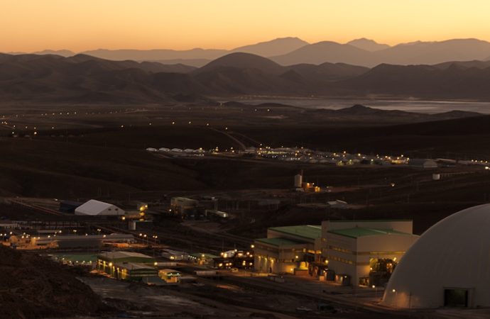 Bolivia: Empresa minera implementa proyecto de reforestación en la Chiquitanía