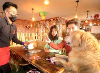 Bolivia: la nueva tendencia de los «cafés con mascotas»