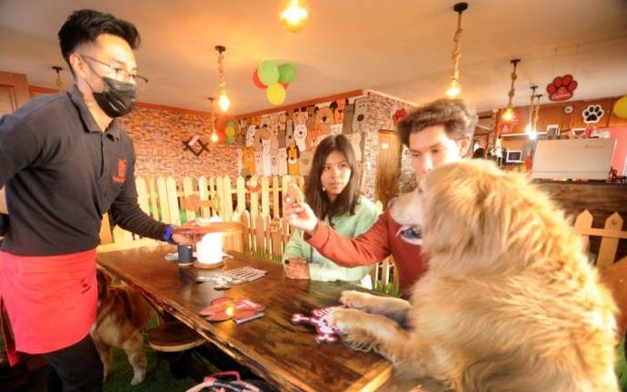Bolivia: la nueva tendencia de los «cafés con mascotas»