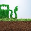 Bolivia: Biocombustibles para ahorrar $us 700 millones y transformar la matriz energética