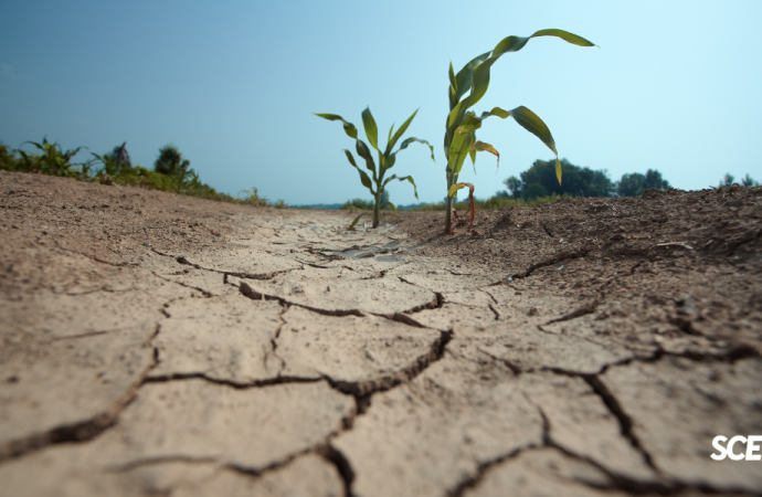 Sequía histórica en Brasil impacta los precios globales de alimentos y pone en alerta a América Latina