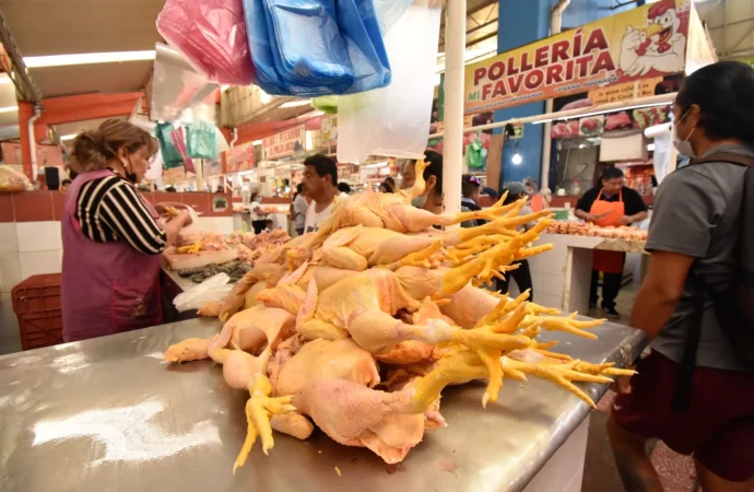 Crisis avícola amenaza la producción de alimentos en Bolivia