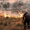 Crisis ambiental en Santa Cruz: 48 incendios activos y siete municipios en estado de desastre