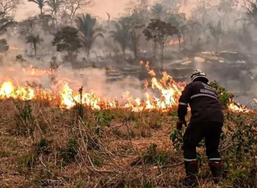 Crisis ambiental en Santa Cruz: 48 incendios activos y siete municipios en estado de desastre