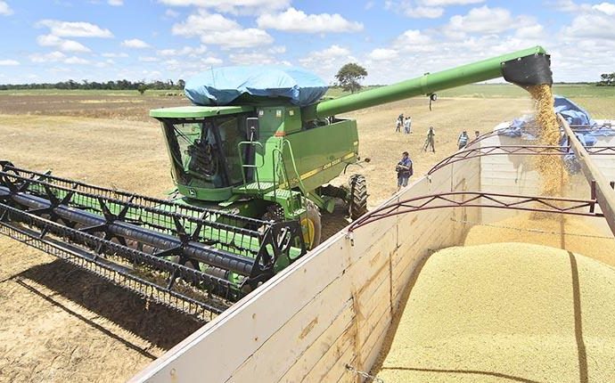 Pérdidas millonarias en exportaciones de soya amenazan la economía nacional