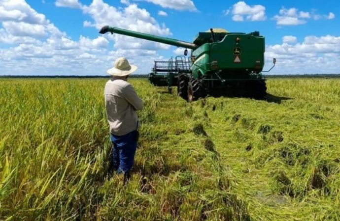 Cultivos estratégicos con tecnología avanzan hacia la competitividad económica