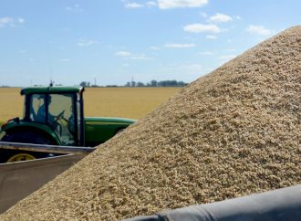 Llegada de arroz importado busca frenar precios altos y escasez en Bolivia