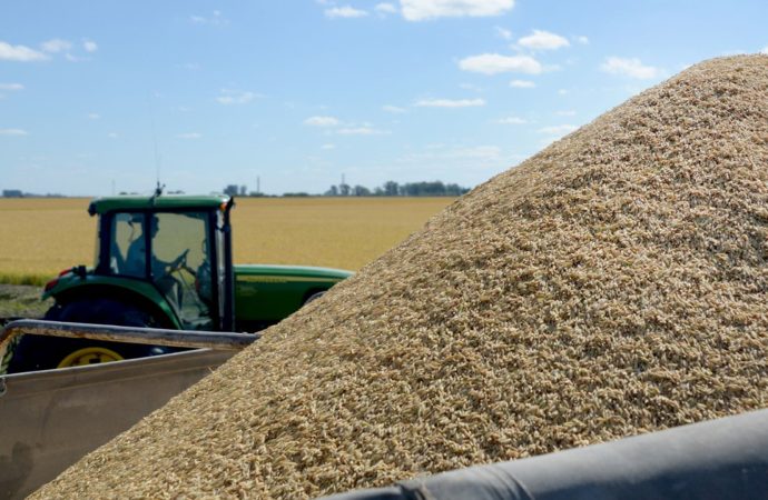 Llegada de arroz importado busca frenar precios altos y escasez en Bolivia