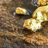 El oro brilla y marca récord en un año de recesión global