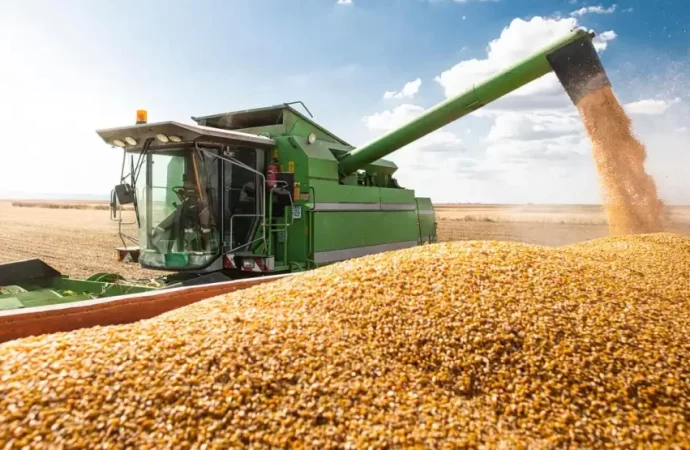 Productores bolivianos de soya enfrentan pérdidas por restricciones a exportaciones