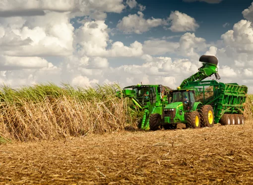 Mercado global del azúcar anticipa superávit tras años de déficit