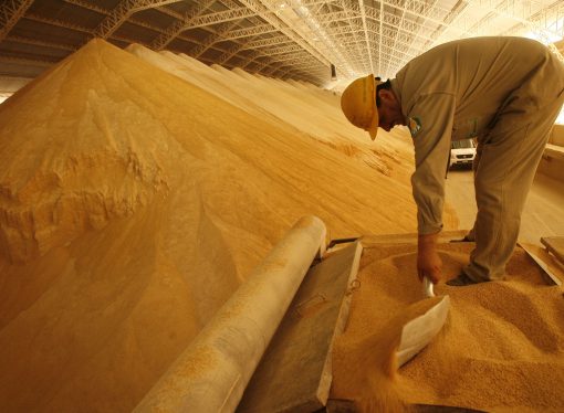 Bolivia acuerda liberar exportación de soya para fortalecer a productores primarios