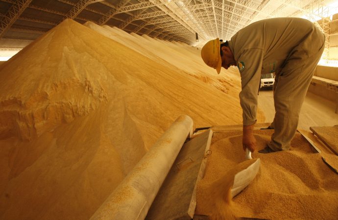 Bolivia acuerda liberar exportación de soya para fortalecer a productores primarios