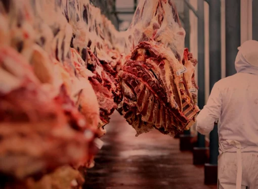 Bolivia expande mercados: carne y lácteos llegarán a Egipto y Chile
