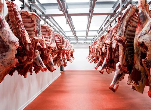 Prohibición de exportaciones de carne en Bolivia: alerta por daños económicos