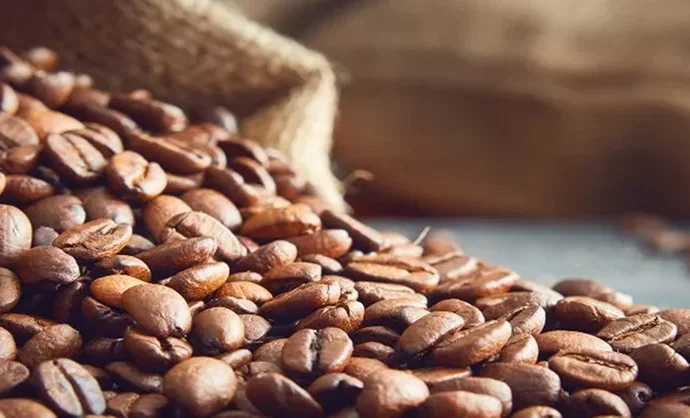 Escalada del café redefine márgenes para productores y cadenas globales